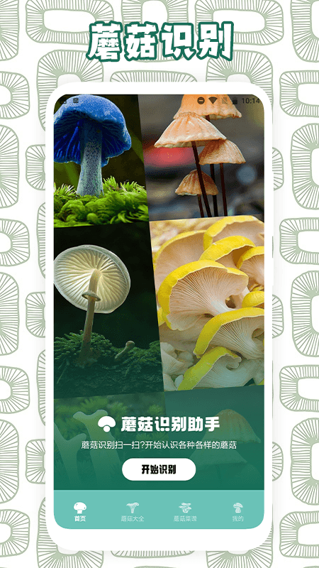 蘑菇识别_截图1