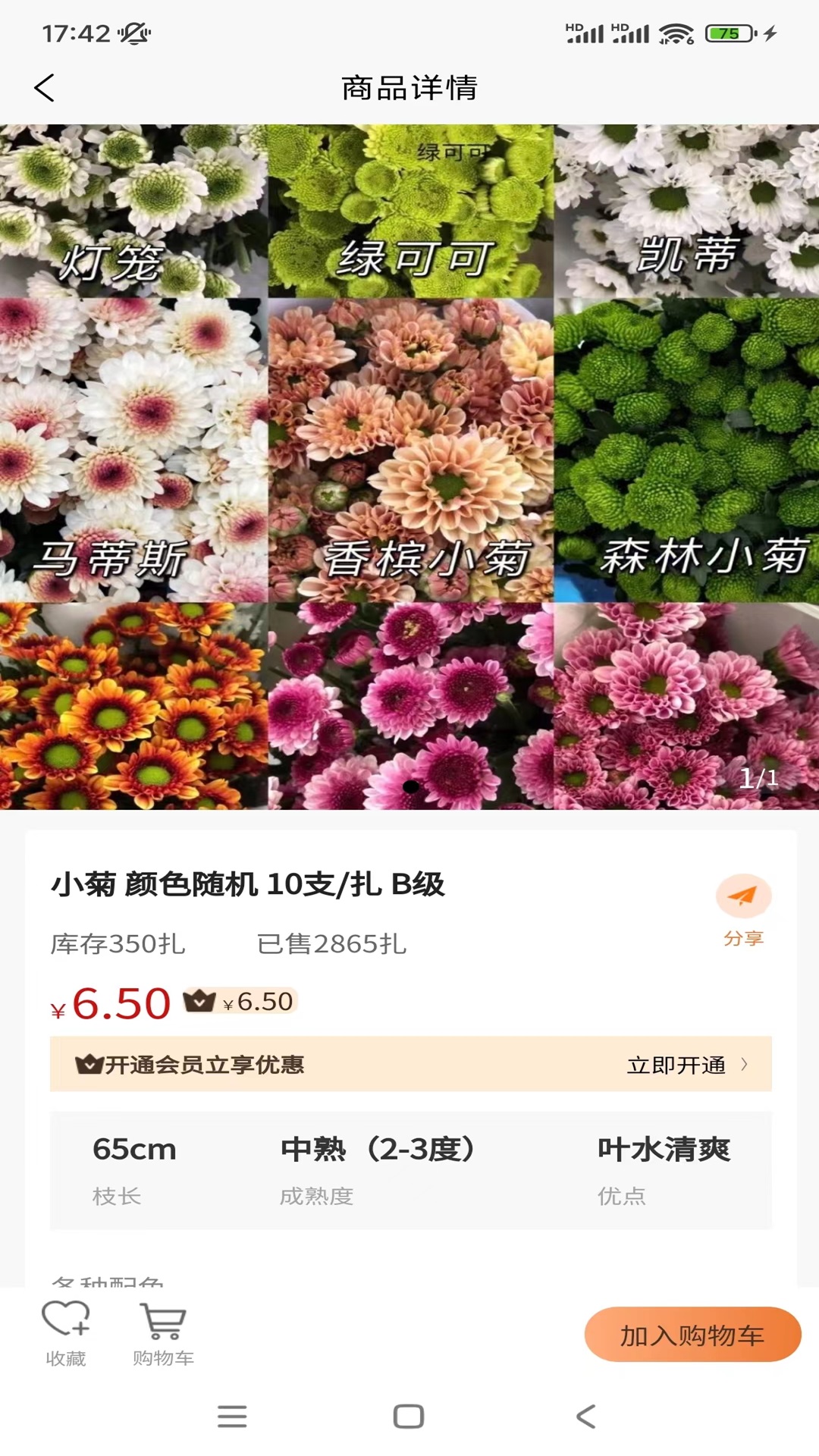 卖花人_截图1