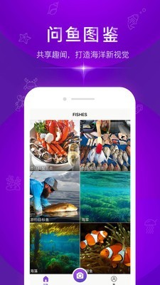问鱼_截图1