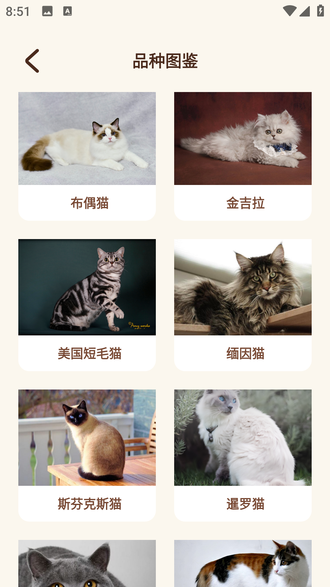 peppycat猫语翻译器_截图4