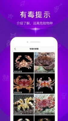 问鱼_截图2