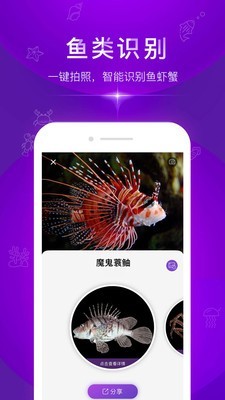 问鱼_截图3