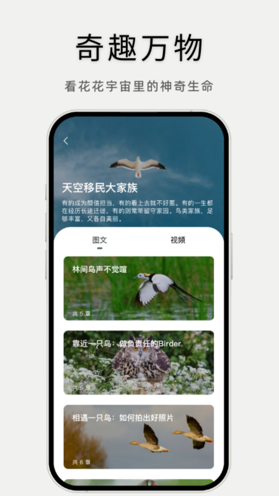 熊猫客_截图5