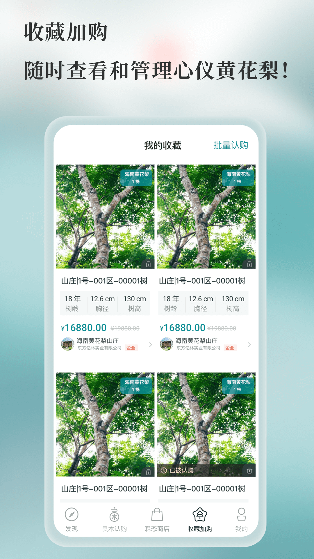 良木森林_截图4