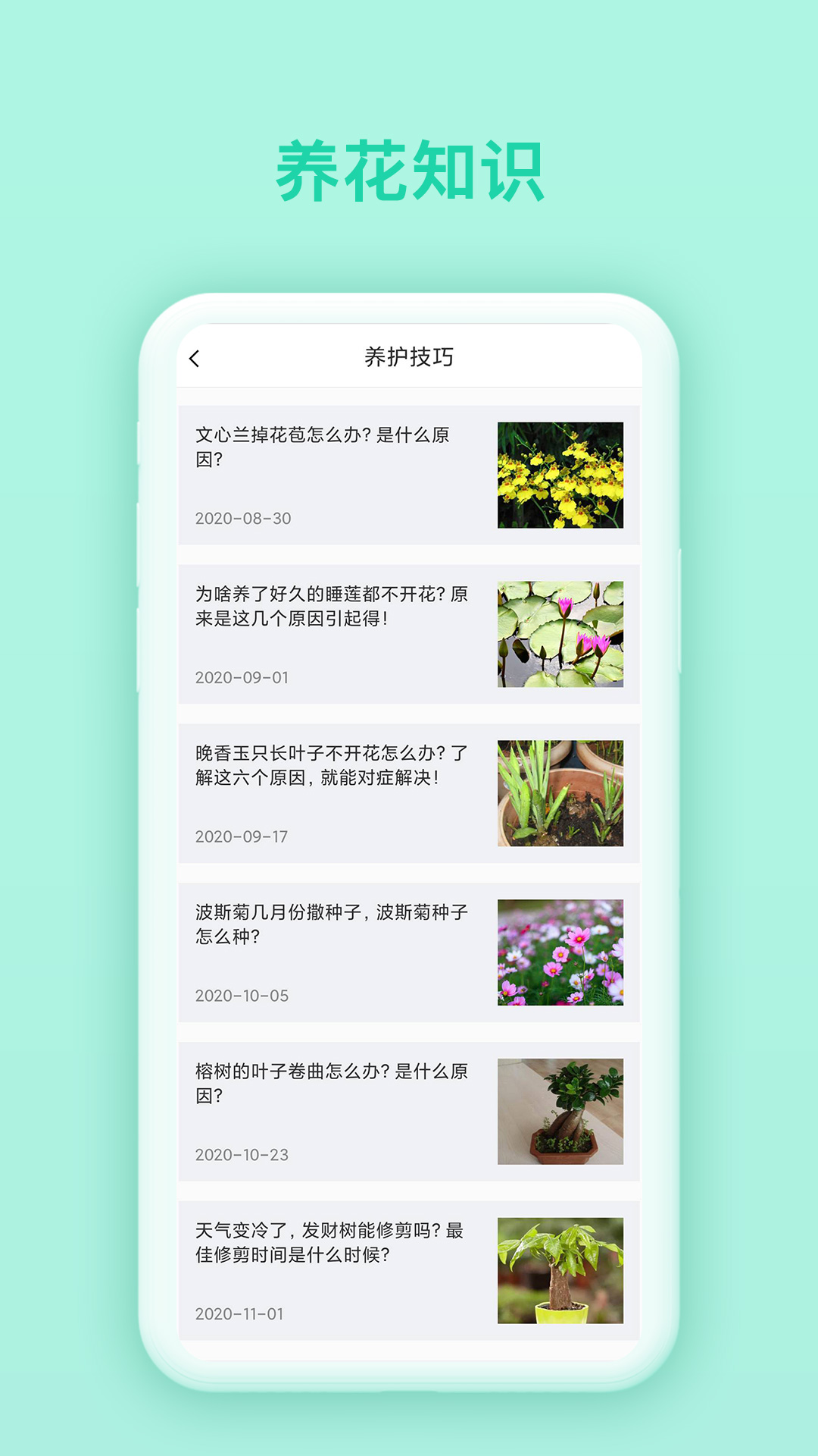 万物识别_截图2