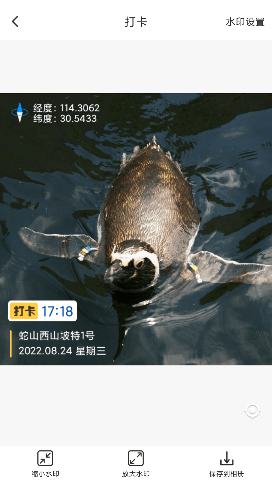 打卡定位_截图2
