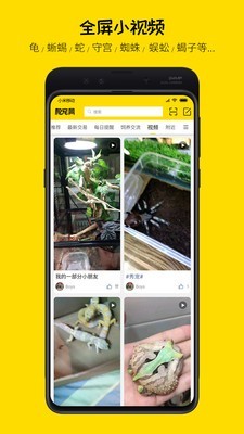 爬宠网_截图3