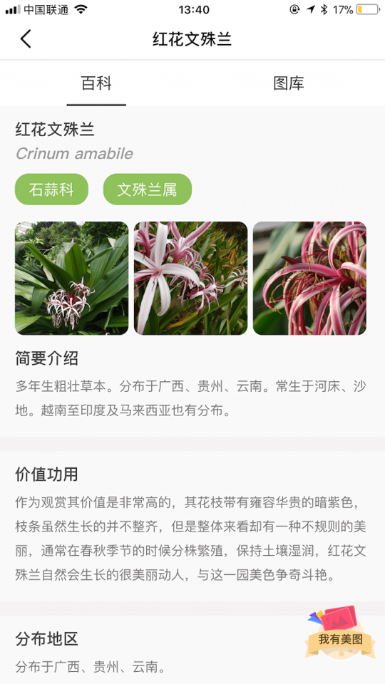 花伴侣_截图1