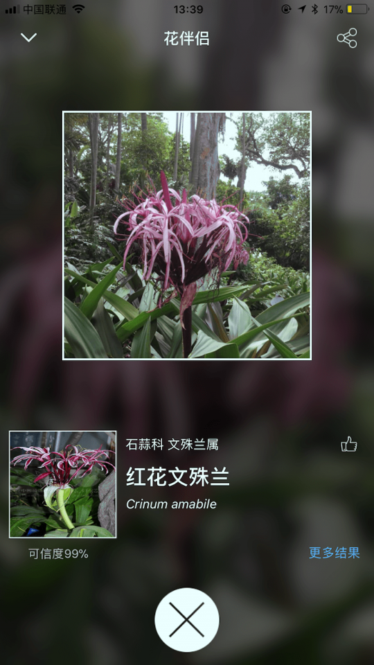 花伴侣_截图3