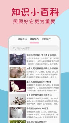 小猫翻译器_截图1