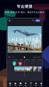 造视视频制作_截图2