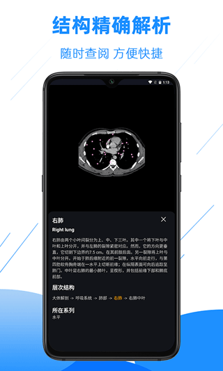 影像解剖图谱_截图5