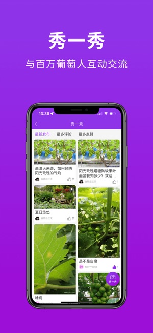 种得来_截图3