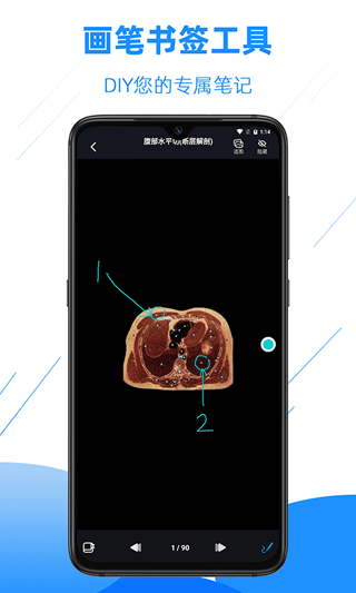 影像解剖图谱_截图3