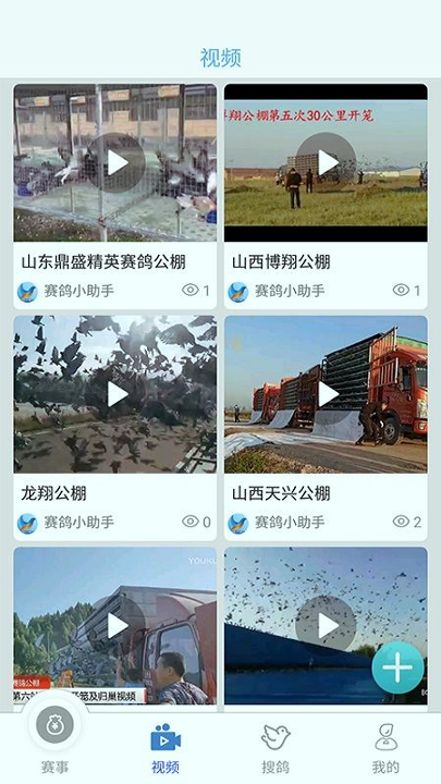赛鸽助手_截图2
