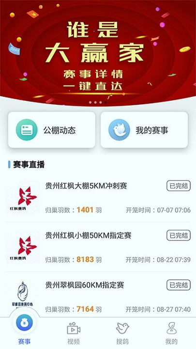 赛鸽助手_截图1
