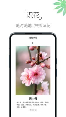 养花宝典_截图2