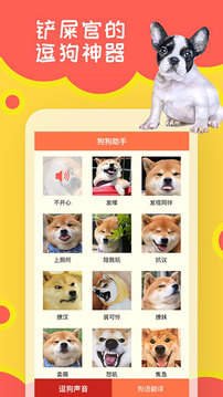 狗狗助手_截图2