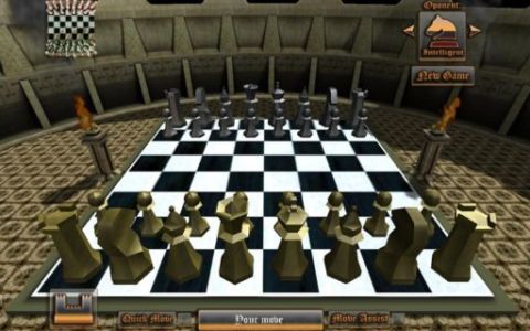 3d国际象棋_截图2