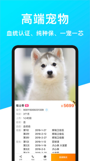 宠物市场_截图2