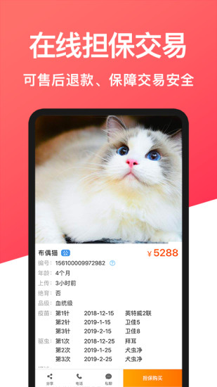 宠物市场_截图3