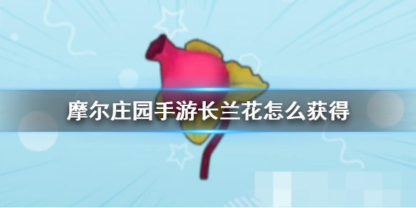 摩尔庄园怎样才能吸引丝儿特来我家玩