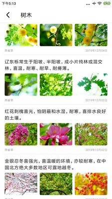 植物百科_截图1