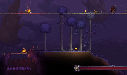 有什么办法可以快速地钓到泰拉瑞亚任务鱼