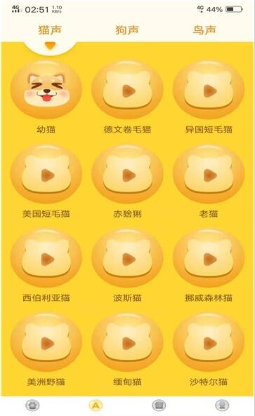 宠物翻译