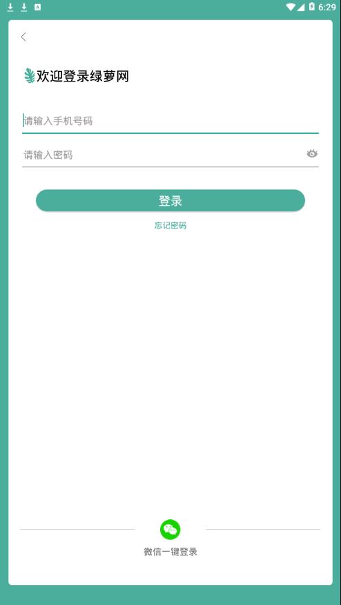 绿萝