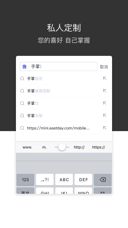 绿叶浏览器国际版_截图1