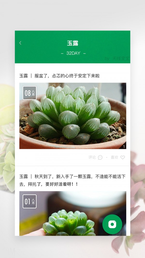 奇妙植物