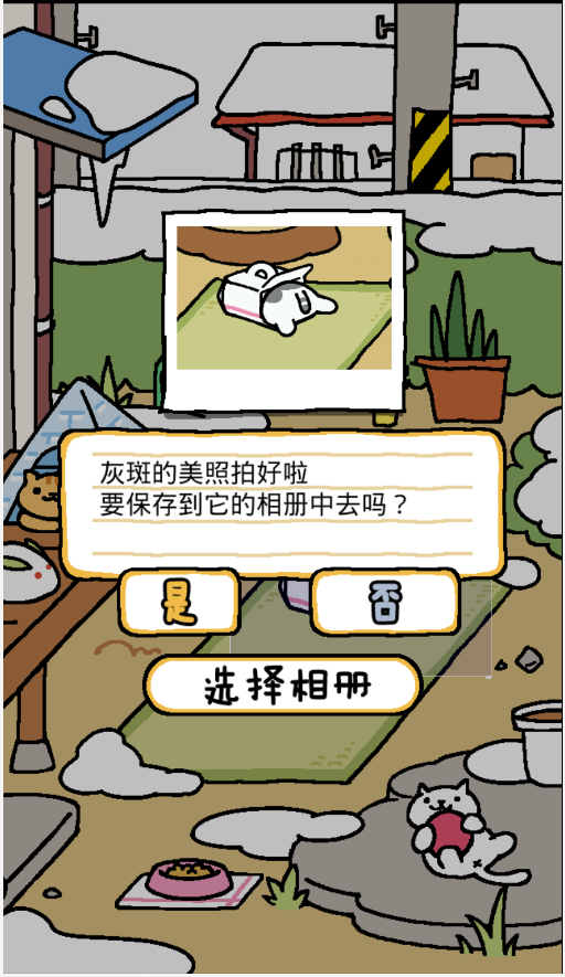 后街猫_截图1