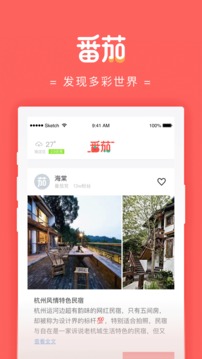 番茄大大