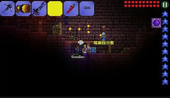 黑渊石在泰拉瑞亚灾厄中是否可制作