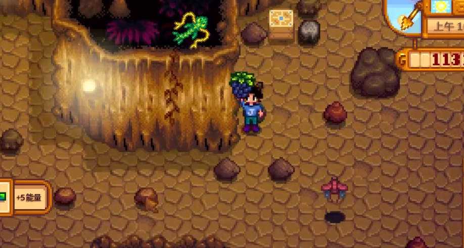 如何在游戏星露谷物语中找到好朋友 如何在游戏星露谷物语中找到好朋友