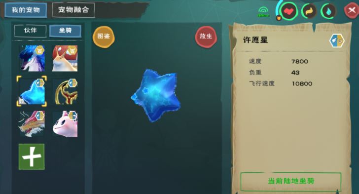 创造与魔法如何抓龟