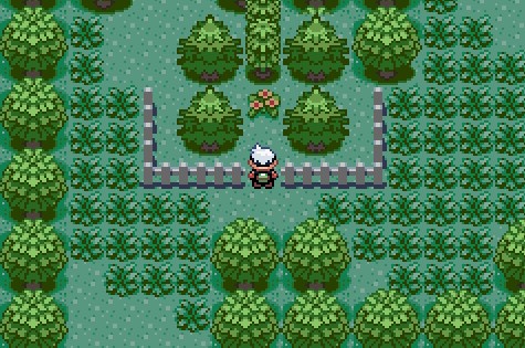 口袋妖怪想知道火红三主宠在哪可以找到