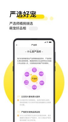 共宠_截图3