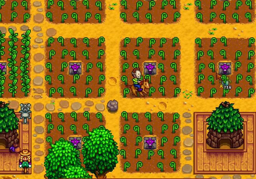 如何进入星露谷物语卡利科沙漠 如何进入星露谷物语卡利科沙漠