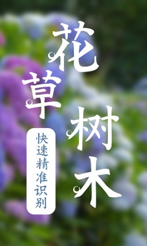 识物_截图1