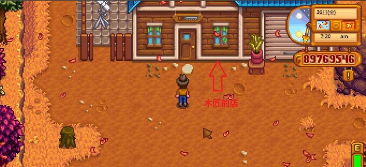 星露谷物语帽子老鼠在哪里买