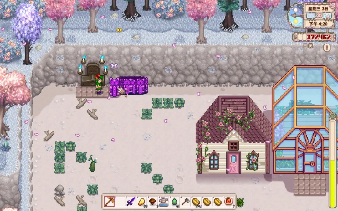 怎样选择适合海莉的星露谷物语手镯