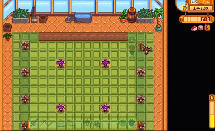 如何在星露谷物语中找到隐藏的彩蛋