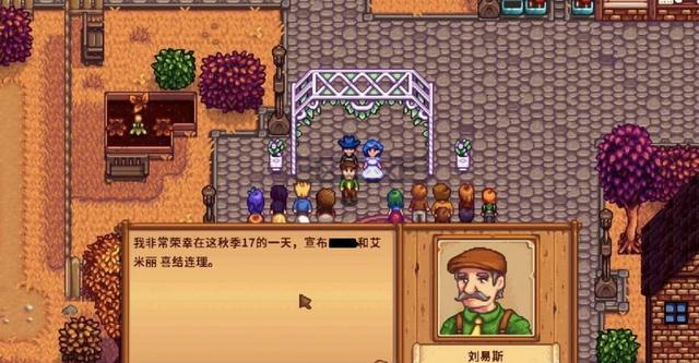 如何正确地提高星露谷物语艾米丽的好感度