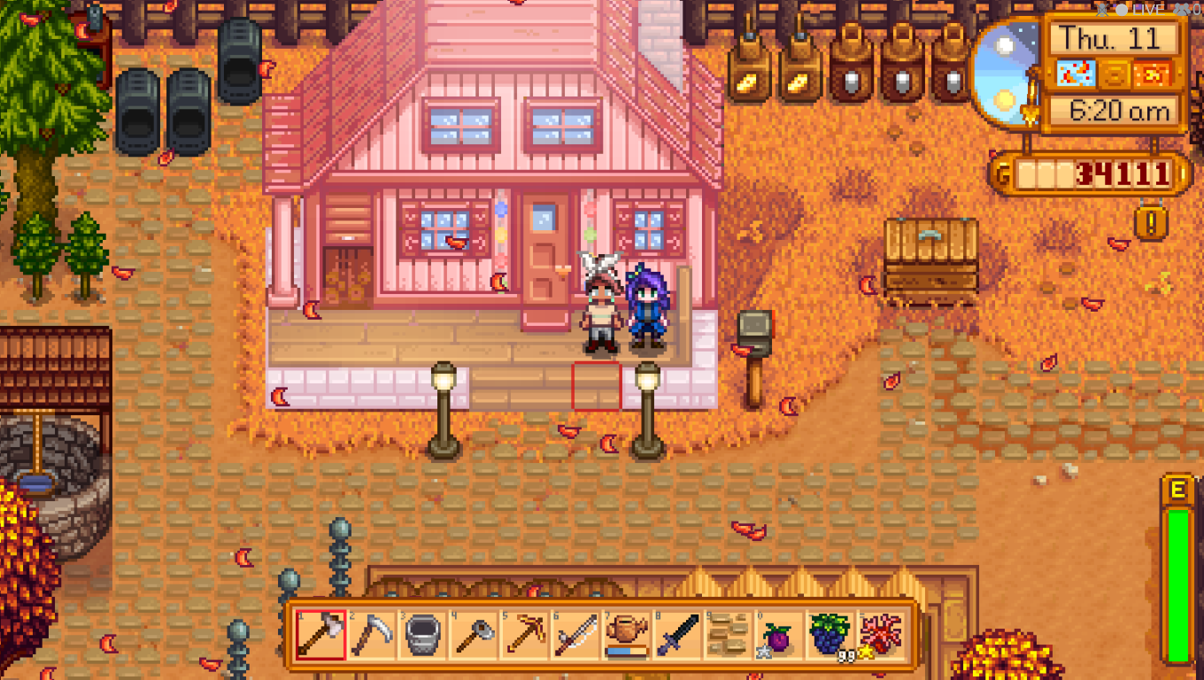 你认为星露谷物语哪个妻子是最好的 你认为星露谷物语哪个妻子是最好的