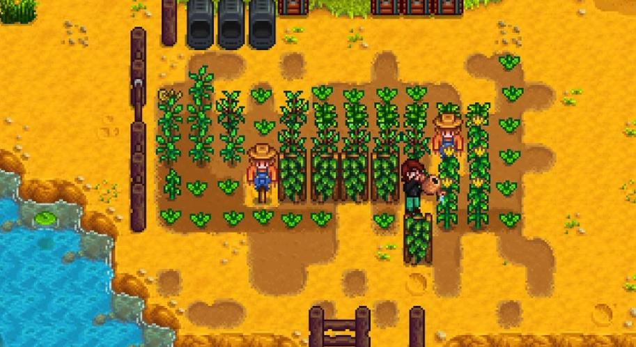 在星露谷物语中应该怎么样选择海莉密室 在星露谷物语中应该怎么样选择海莉密室