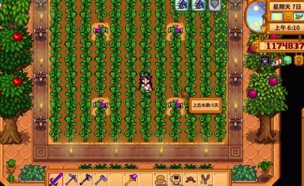 如何找到星露谷物语海莉暗室的入口