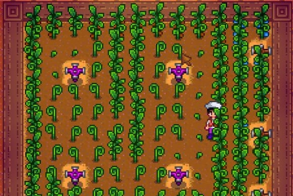 如何在星露谷物语中增长体力上限