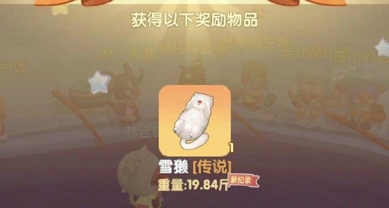 摩尔庄园中级向导怎样提高等级